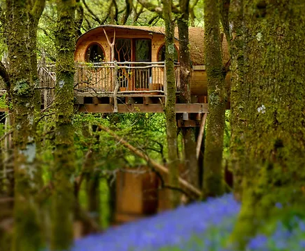 Welsh tree houses