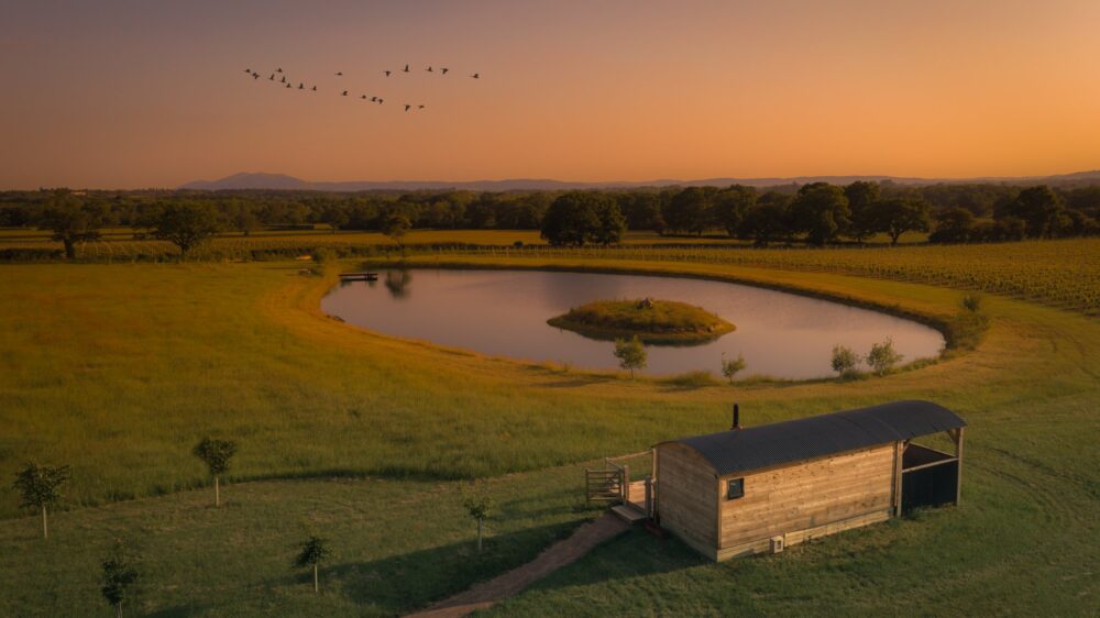 a dreamy looking photo of Wagtail retreats shepherds hut overlooking an oval shaped lake with an small grass covered island in the middle