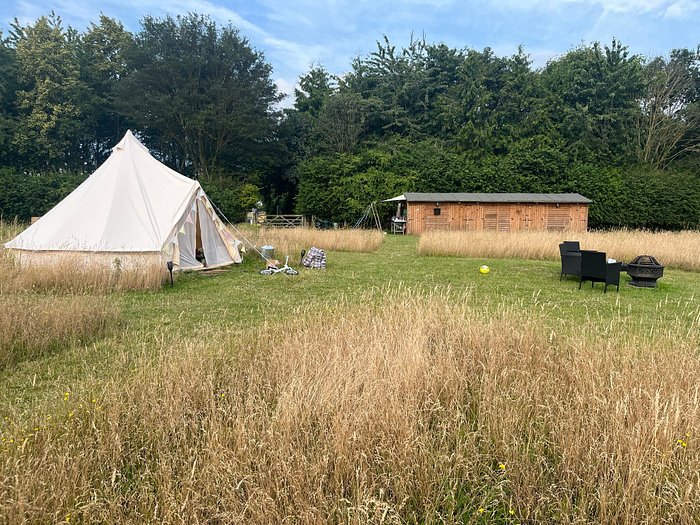 rolling fields glamping lives up to the name. Yurt tents set around long grass in a field